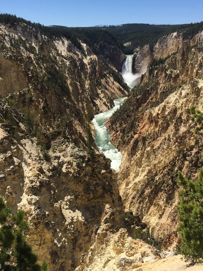 Lower Falls of the Yellowstone