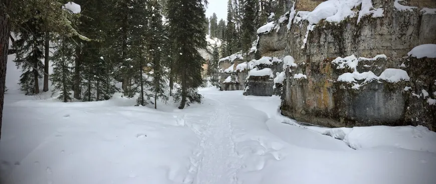 Snowshoeing Pebble Creek in Yellowstone