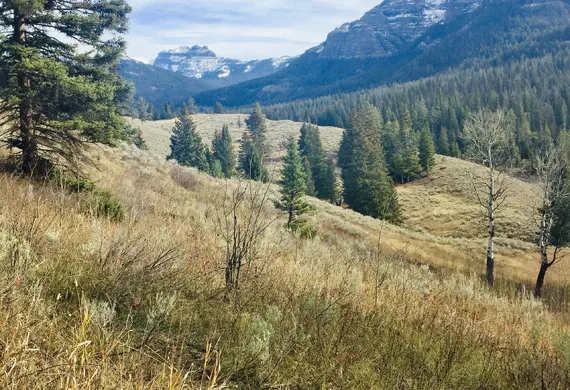 Fall Scenery in Yellowstone 